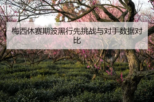 梅西休赛期波黑行先挑战与对手数据对比（biwei）